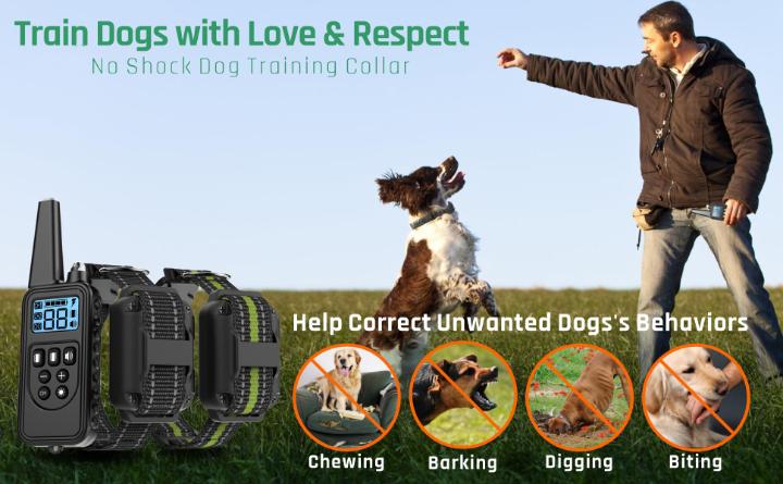 How Does the Dog Training Collar Work FunniPets