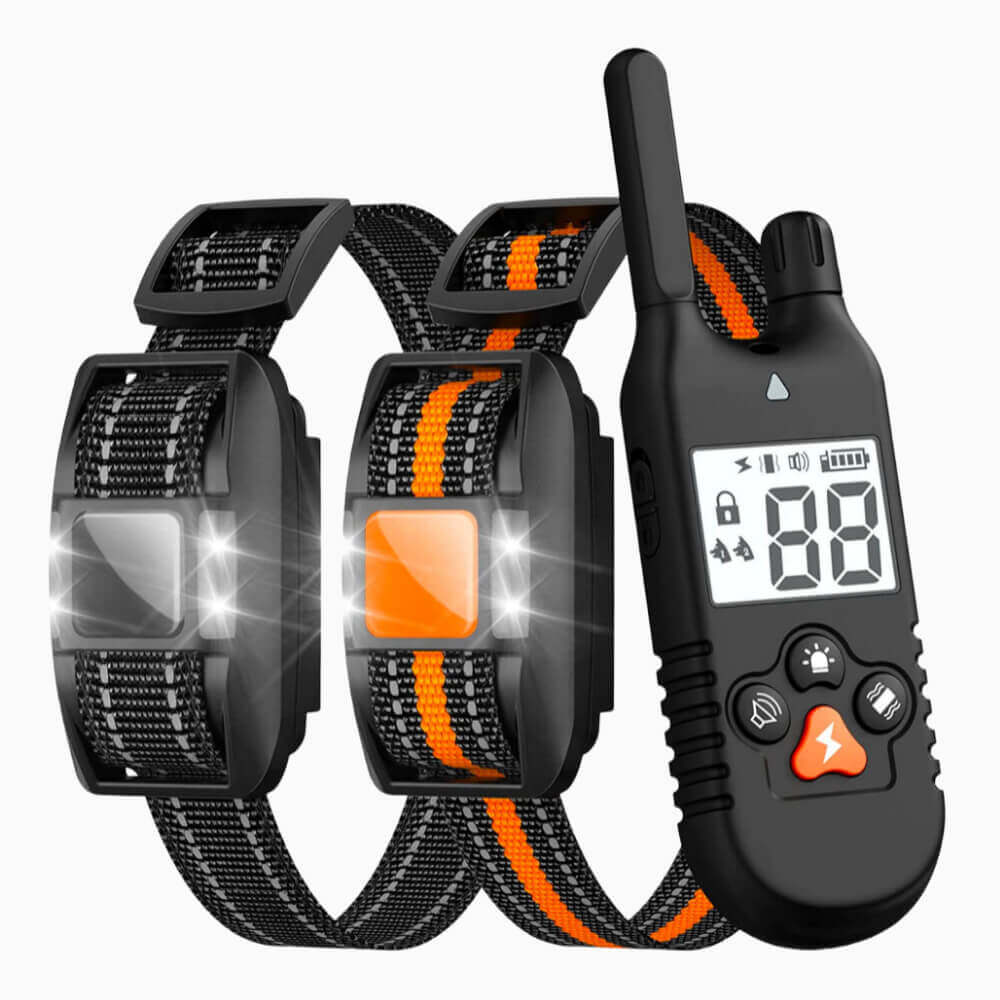 Two dog outlet training collar